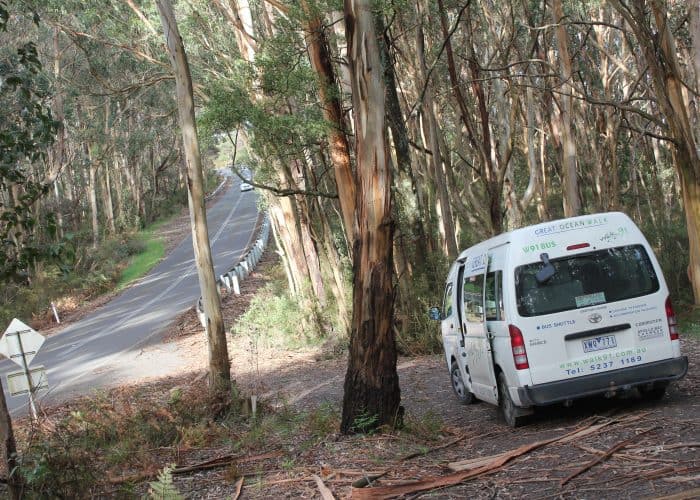 A white tour van labeled "Great Ocean Walk" is parked beside a winding road in a forested area with tall trees, near popular campsites perfect for camping adventures.